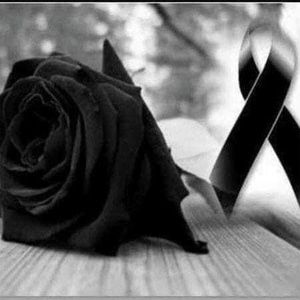 Meet your Posher, Willy zarate